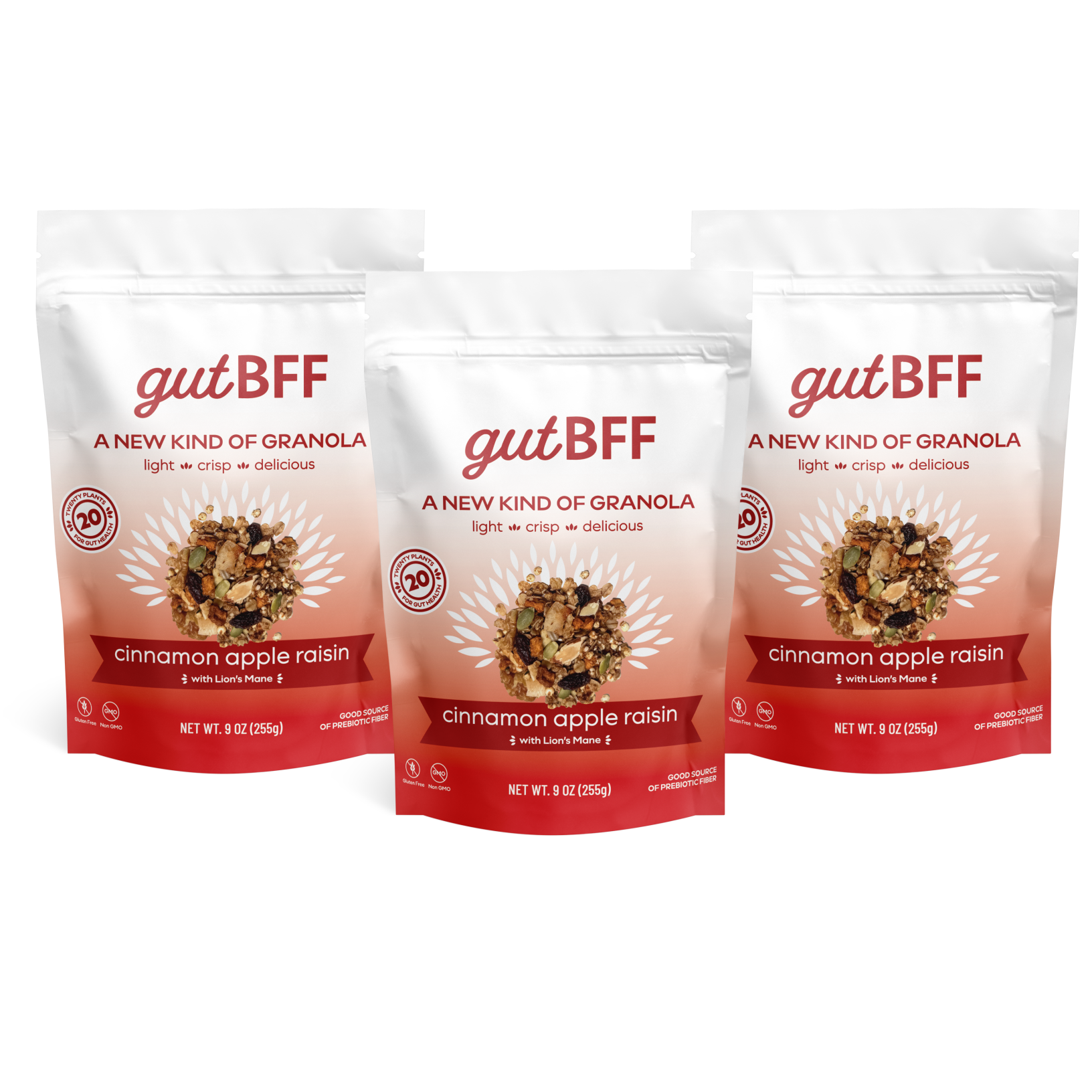 Cinnamon Apple Raisin Granola, 9oz