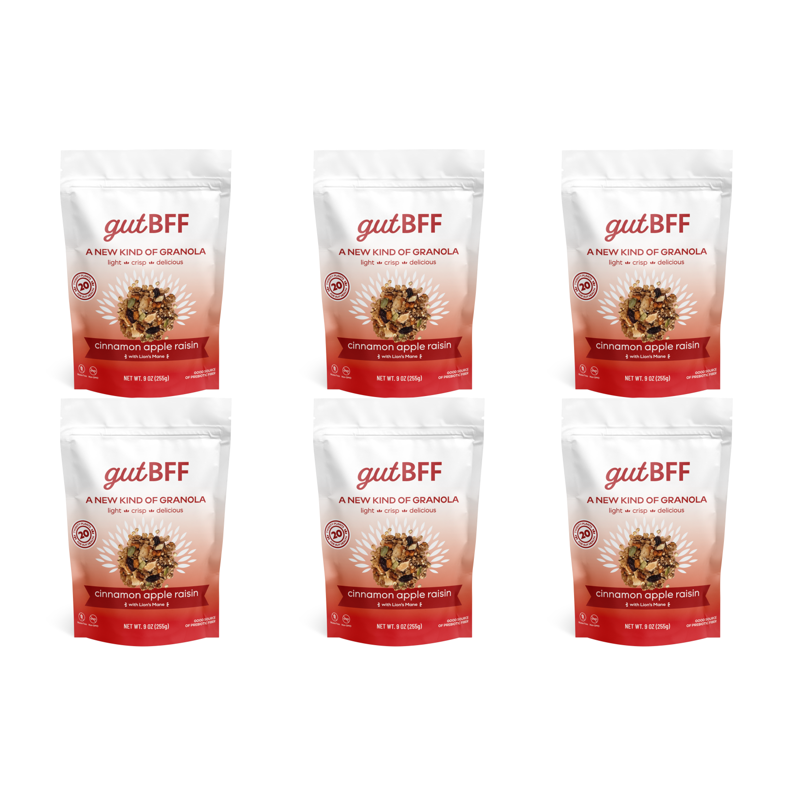 Cinnamon Apple Raisin Granola, 9oz