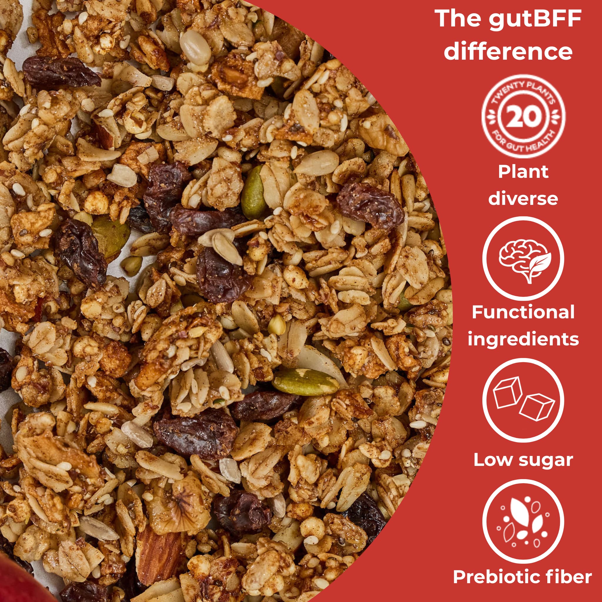 Detail shot of Cinnamon Apple Raisin granola texture showing apple pieces with raisins and icons for plant diverse, functional ingredients, low sugar, and prebiotic fiber under the words The gutBFF difference.
