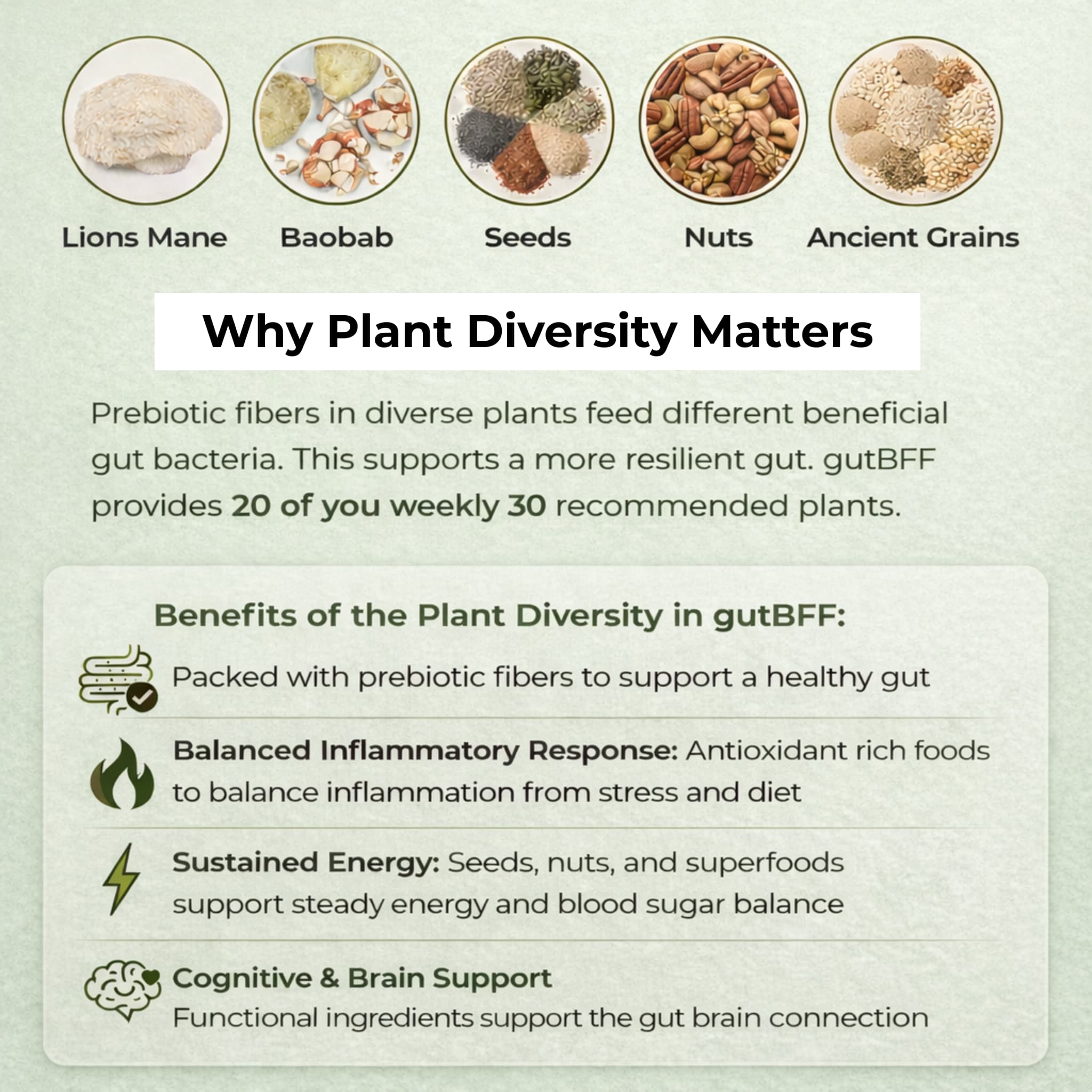 Chart explaining the benefits of plant diversity for balanced inflammatory response, sustained energy, and cognitive brain support and how gutBFF granola provides 20 of the 30 weekly plants in your diet on a light green background.