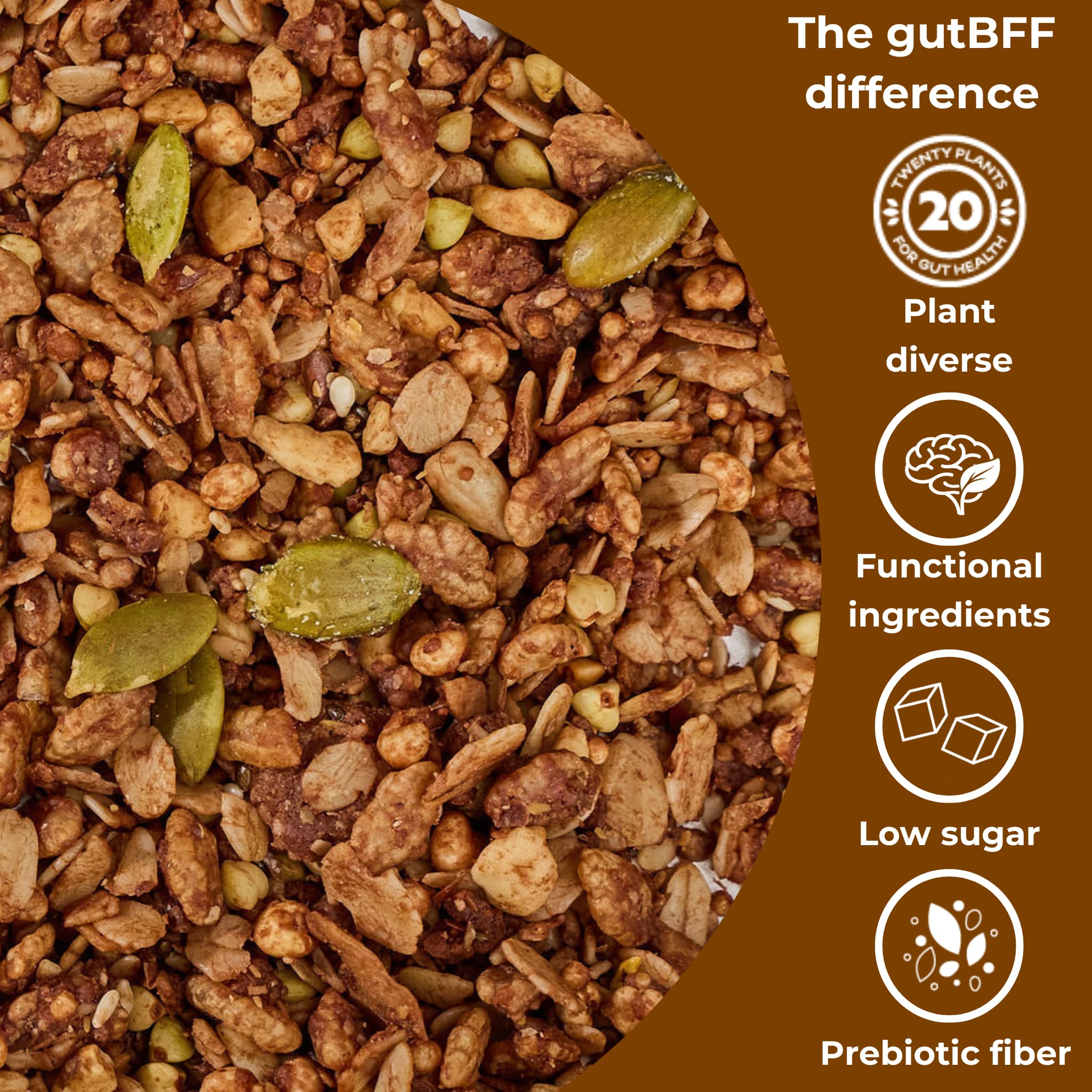 Chocolate and peanut butter granola pieces containing lion's mane extract showing the granola texture with icons for plant diverse, functional ingredients, low sugar, and prebiotic fiber under the words The gutBFF difference.