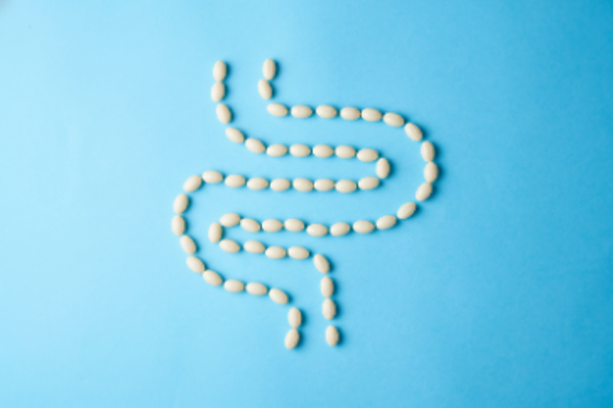 White beads in the form of a human digestive system on a blue background.