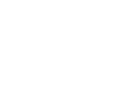White icon with a wheat plant with a circle around and slash through it and Gluten Free written below