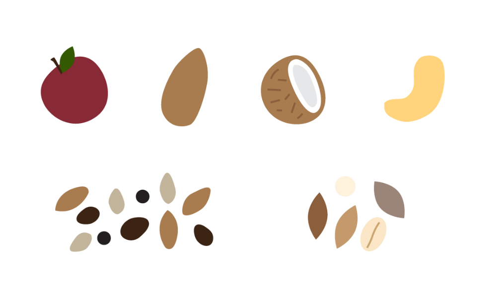 Illustrations of fruits, nuts, seeds, and coconut on a white background